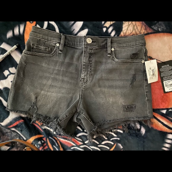 Hudson Gemma Shorts - Picture 8 of 10
